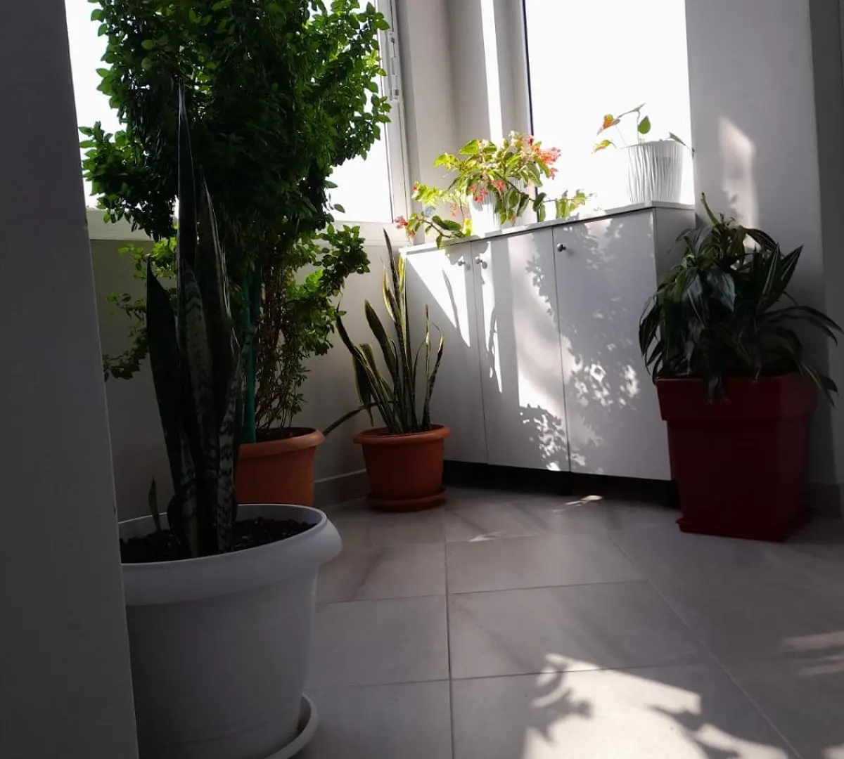 Seaside Apartments Sarande 0*,